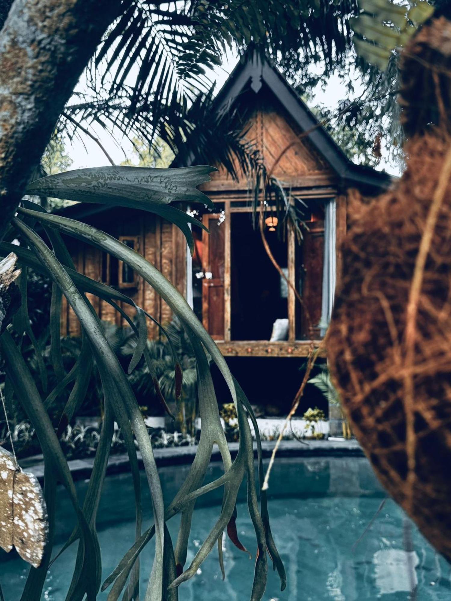 Resort Jungleroom Canggu Bagian luar foto